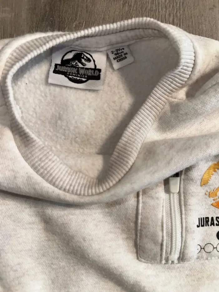 Pull sweat Jurassic world - photo numéro 4
