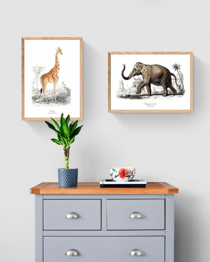 Affiche vintage Girafe format A4 - photo numéro 3