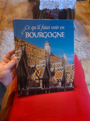 Ce qu'il faut voir en bourgogne