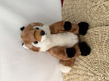 Doudou peluche renard marron blanc RODADOU RODA 