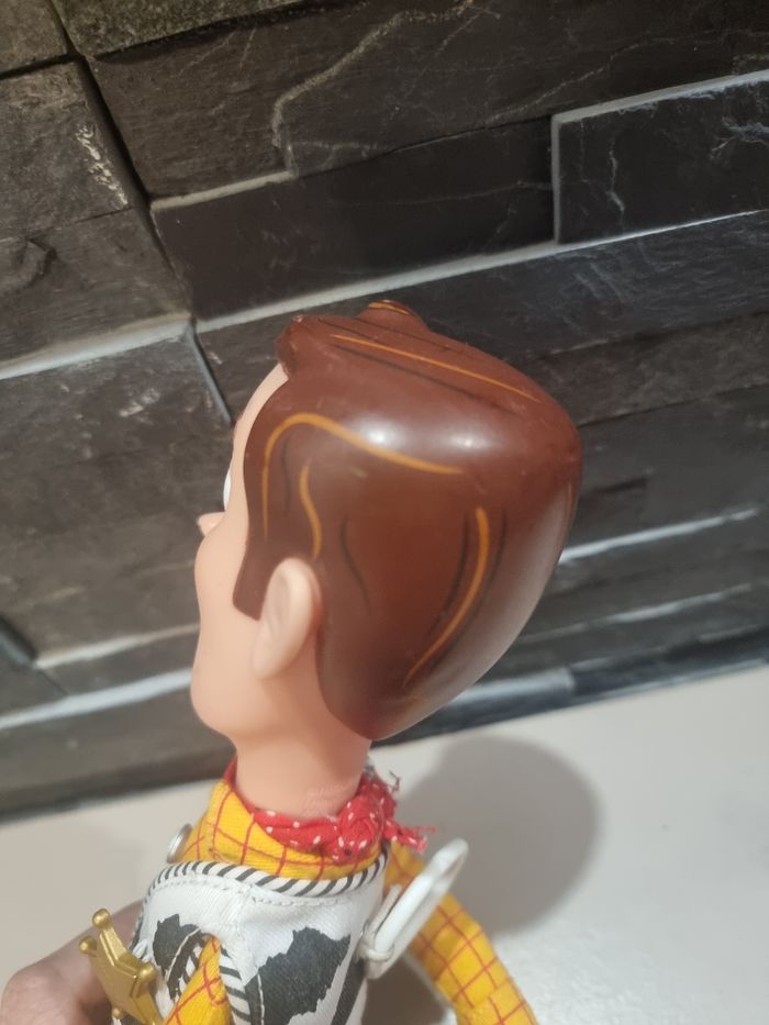 Woody - photo numéro 7