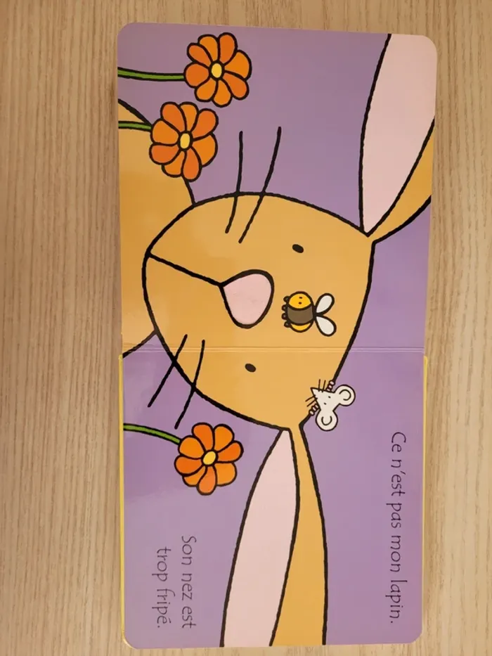 Où est mon lapin? - photo numéro 7