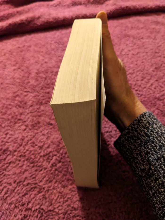 Millenium 2 la fille qui rêvait d'un bidon d'essence et d'une allumette de Stieg Larsson - photo numéro 4