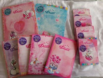 Lot de 10 feuilles diddl collection cœur 