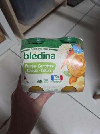 Pots Bledina 6 mois Legumes