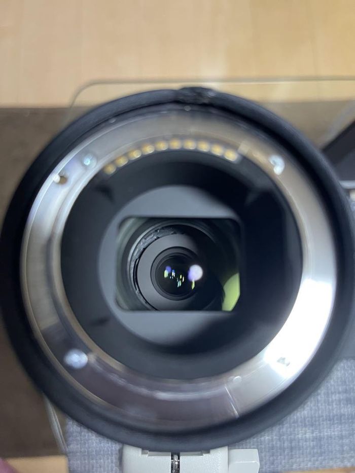 Beauté SONY FE 200 600mm F5.6 6.3 G - photo numéro 6