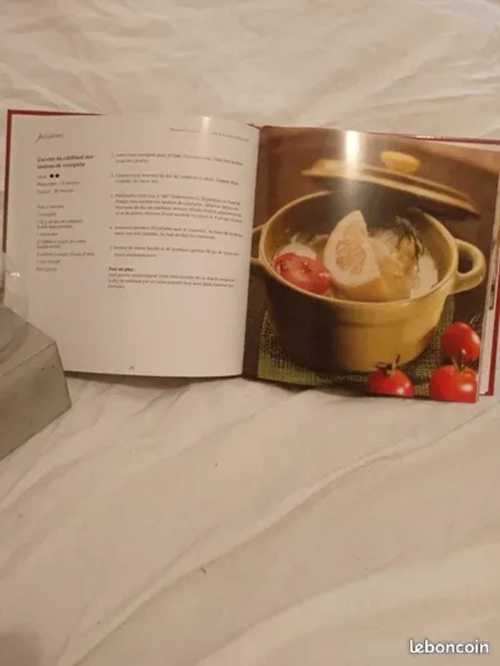 Livre de recettes Les cocottes - photo numéro 3