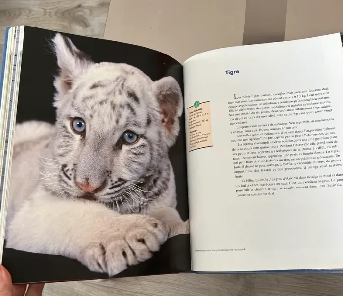Livre les bébés animaux - photo numéro 4