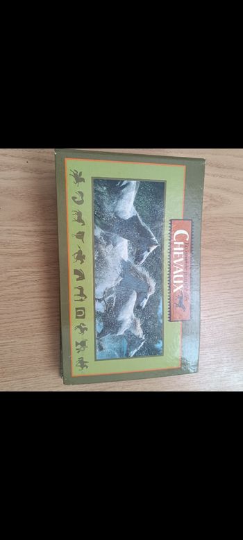 Livre sur les chevaux