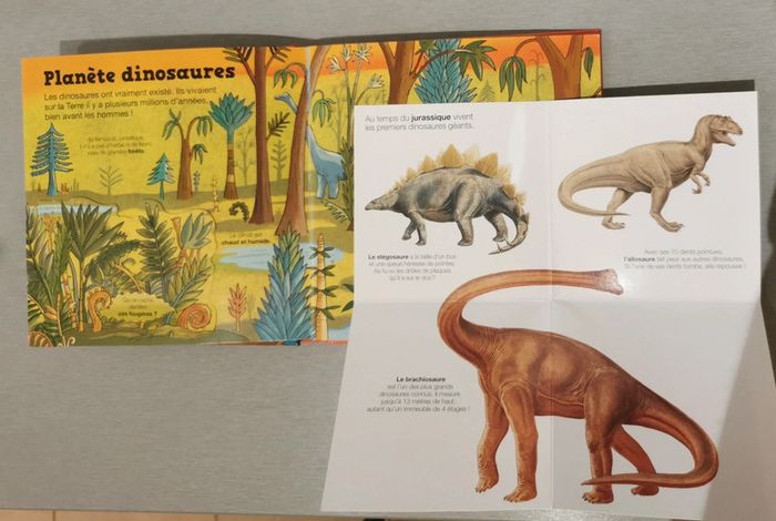 Livre pop up Kididoc Les dinosaures - photo numéro 5