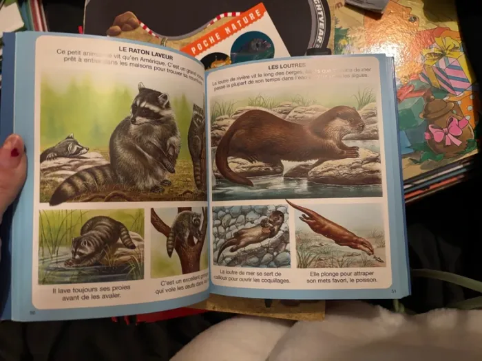 Livre enfant - photo numéro 2