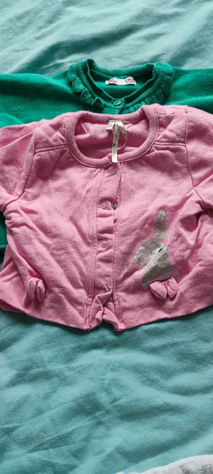 Lot 7 gilet - photo numéro 6
