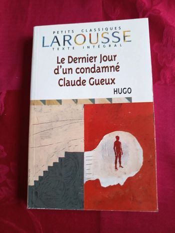 Livre le dernier jour d'un condamné