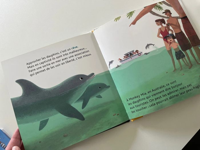 Les p’tits docs Les dauphins - photo numéro 3