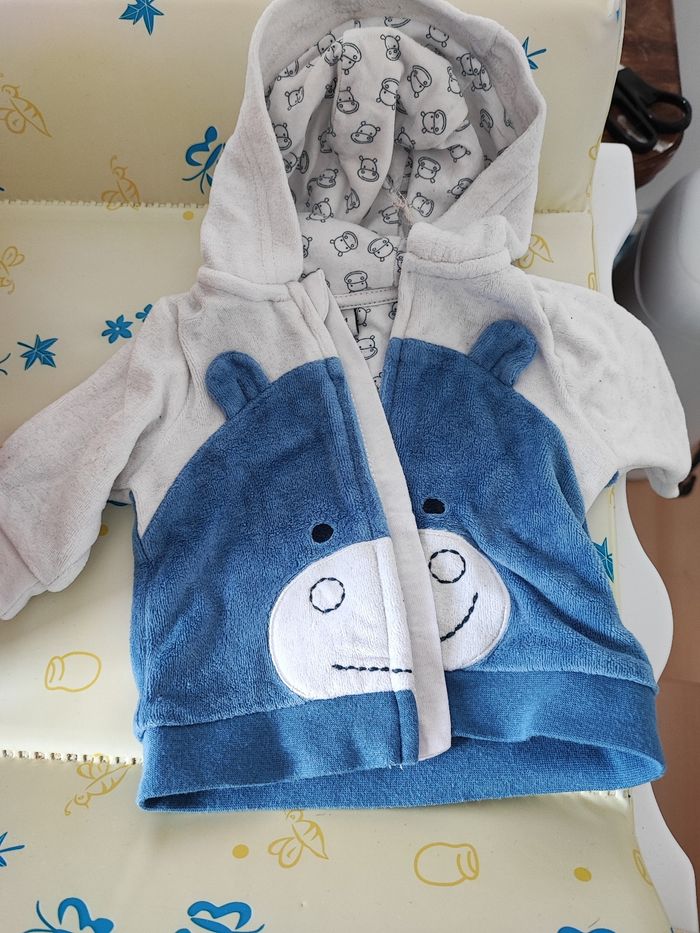 Ensemble hippopotame - photo numéro 2