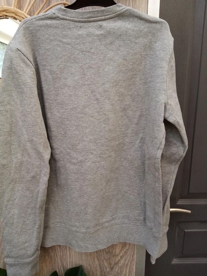 Pull ours T.XS - photo numéro 3