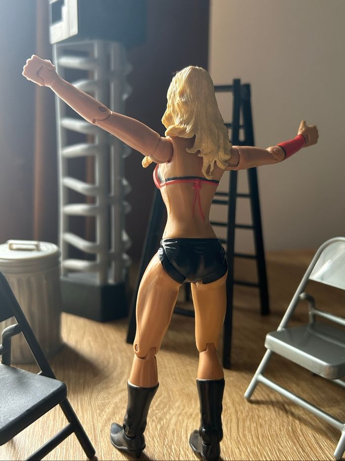 Kelly Kelly WWE Action Figure - photo numéro 3