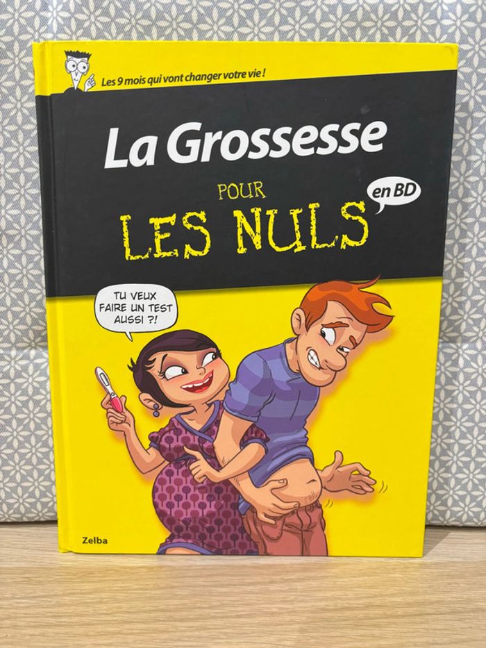 BD "La Grossesse Pour Les Nuls"