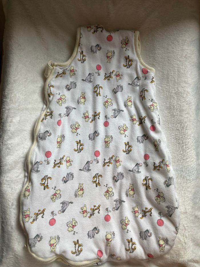 Gigoteuse Disney - photo numéro 2