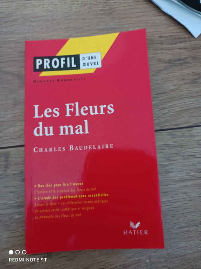 Profil de l'oeuvre les fleurs du mal