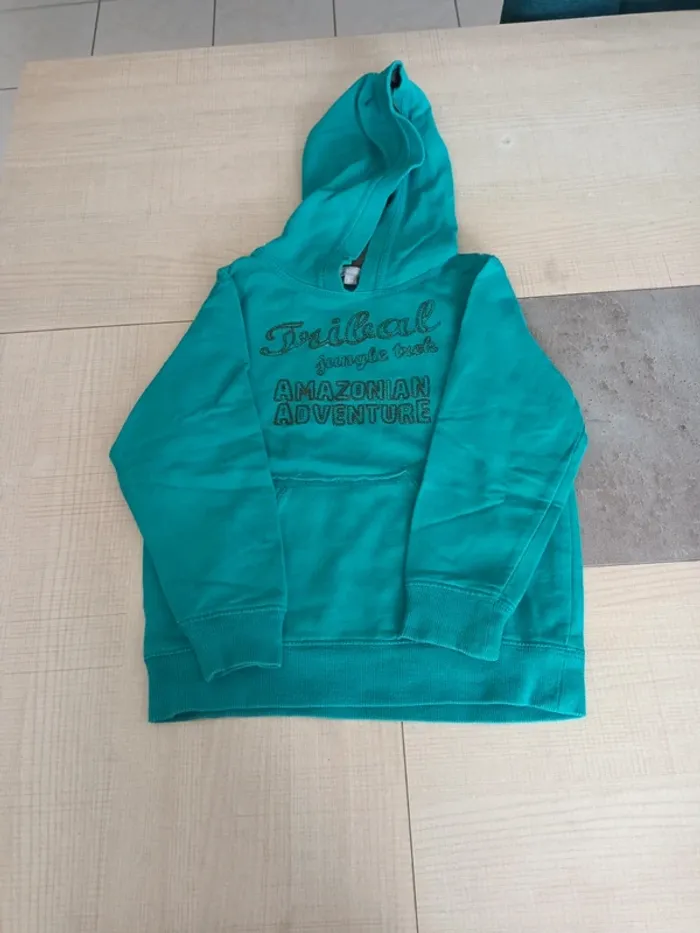 Pull à capuche garçon 3 ans - photo numéro 4