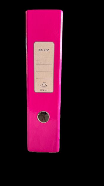 Classeur à levier Leitz Rose