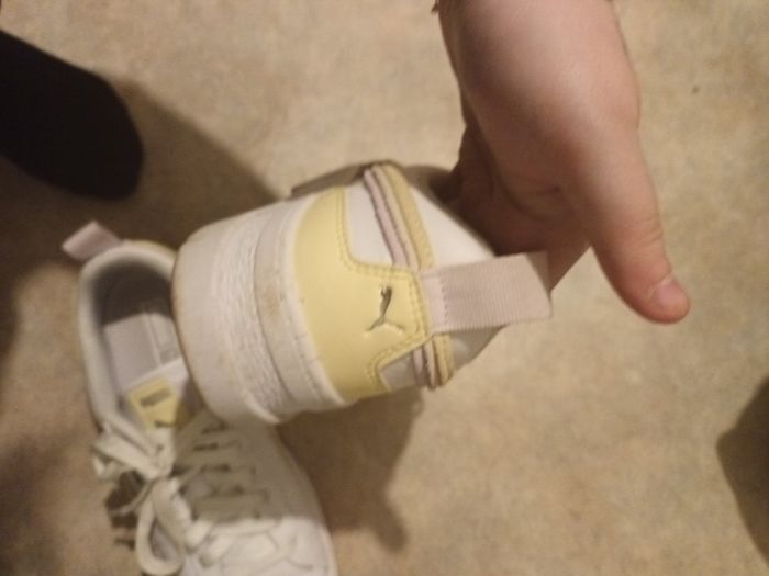 Puma neuf - photo numéro 5