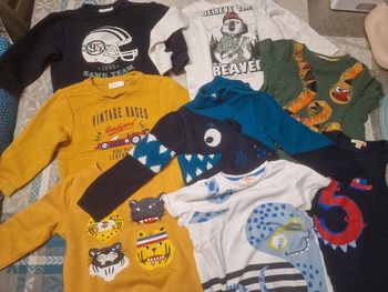 Lot vêtements enfant 4 ans pulls t-shirts