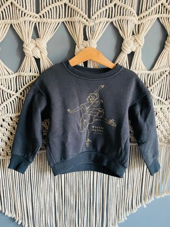 Pull Disney Princess