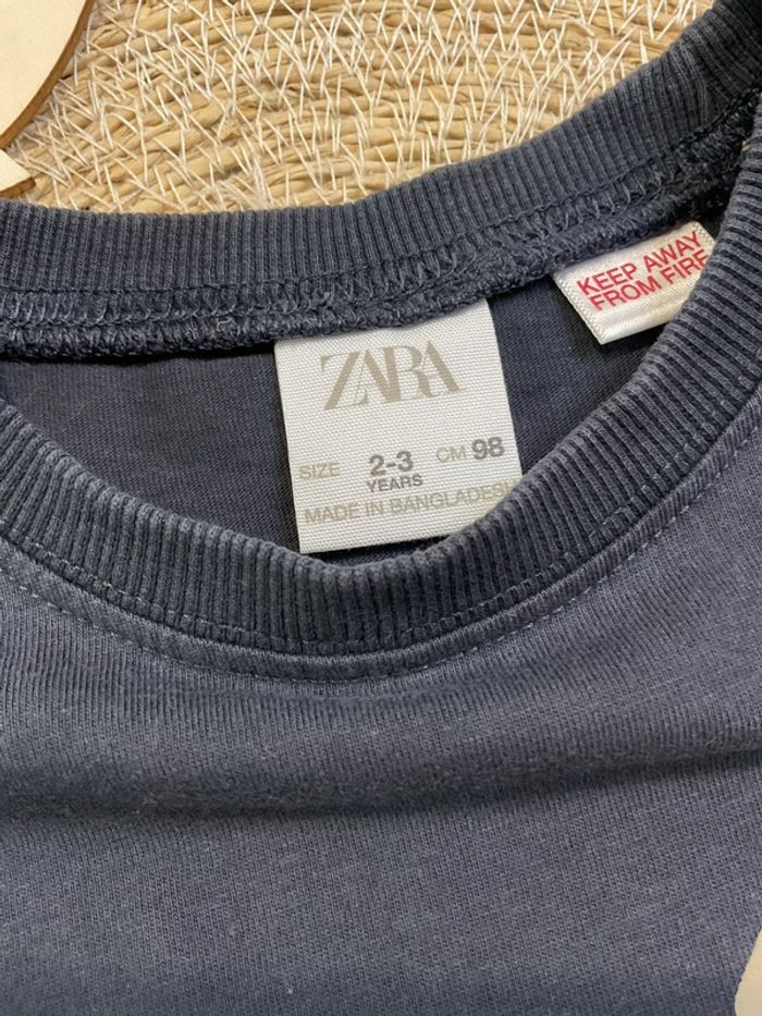 Teeshirt Zara zèbre - photo numéro 2