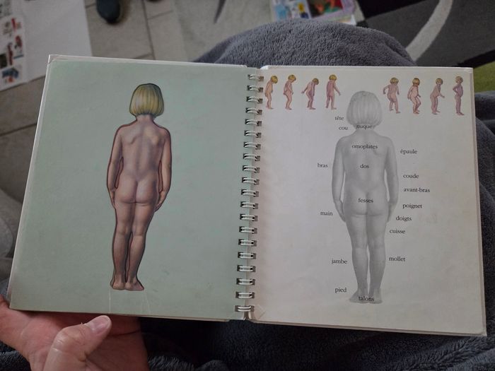 Livre le corps - photo numéro 6