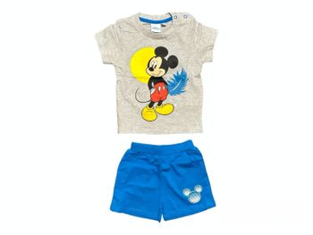 Ensemble Disney