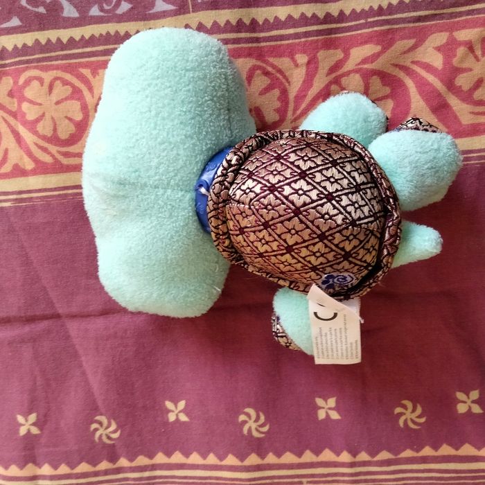 Tortue peeshop - photo numéro 2