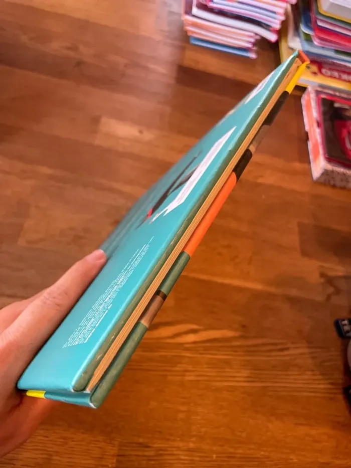 Livre couverture molletonné Mes grands Albums Le loup qui apprivoisait ses émotions - photo numéro 6