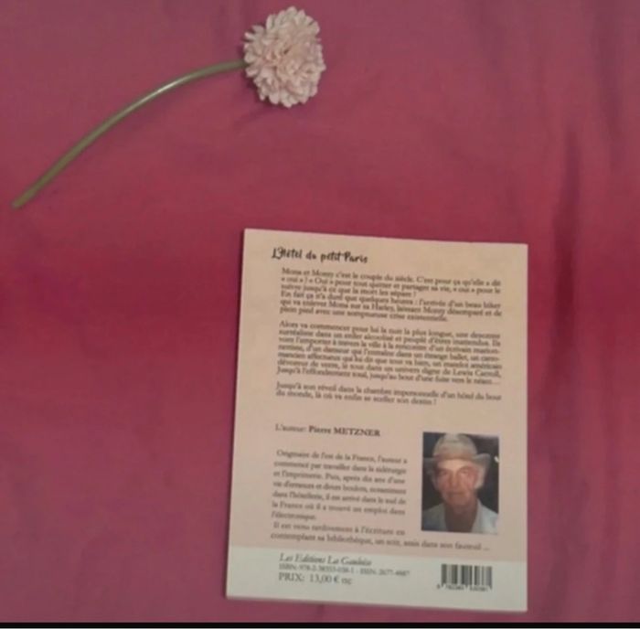 L’hôtel du petit Paris - photo numéro 2