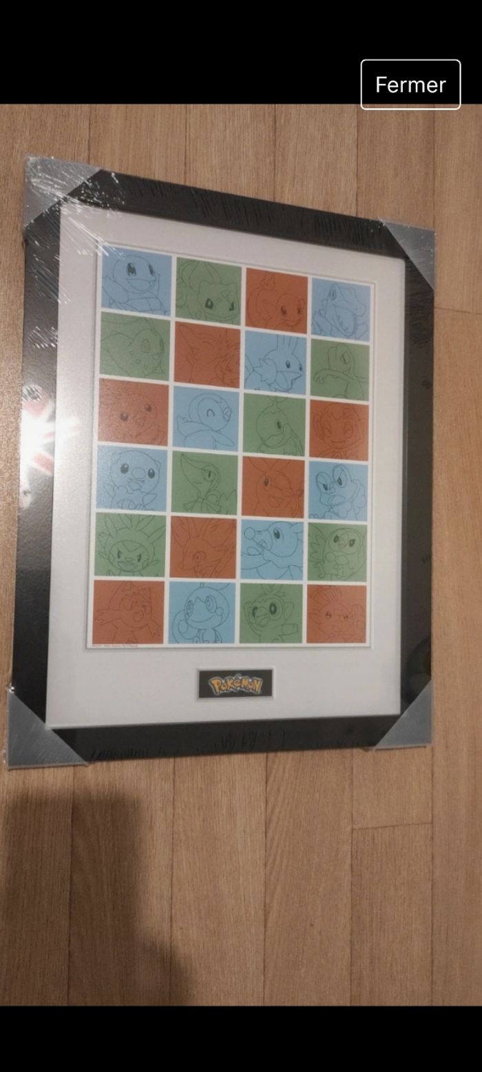 Cadre pokemon