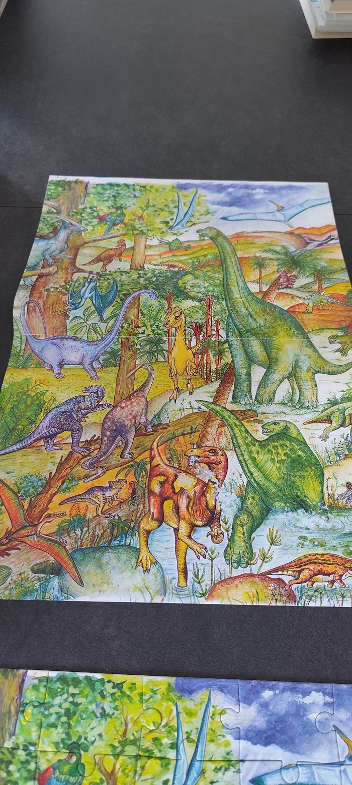 Puzzle d'observation Dinosaures - photo numéro 4