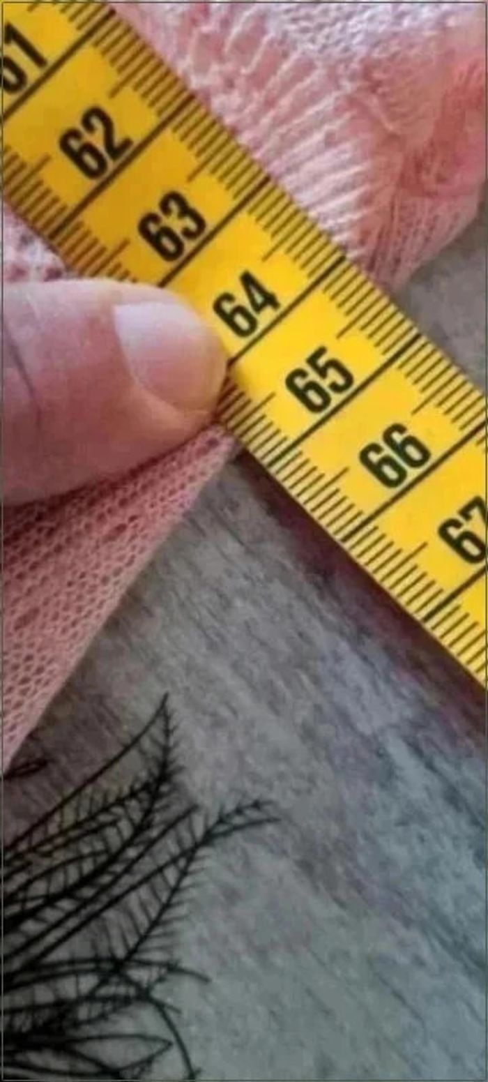 Tee-shirt grande taille - photo numéro 5