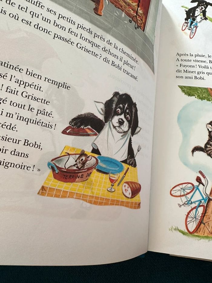 Grand album livre 156 pages Les Amis de Caroline Pierre Probst Hachette Jeunesse reliure bleu - photo numéro 5