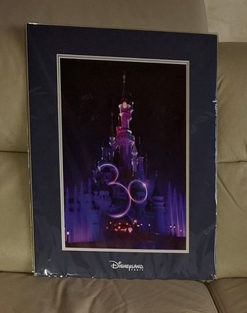Illustration Disneyland Paris 30e anniversaire