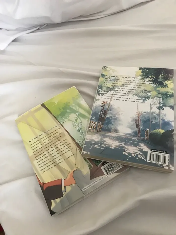 2 manga bloom into you version française - photo numéro 2