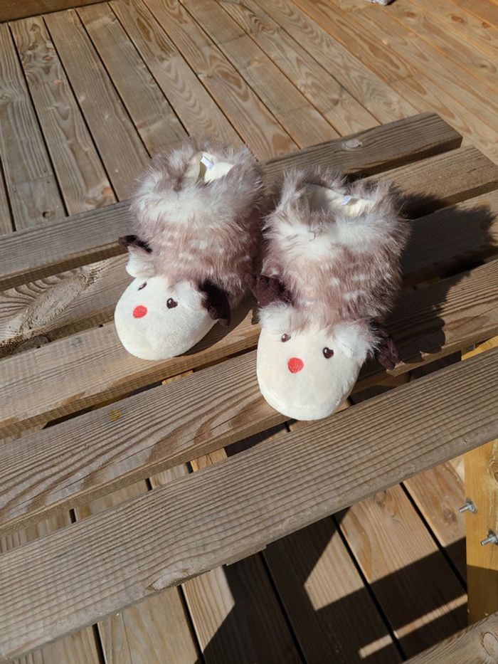 Bottes chaussons rennes