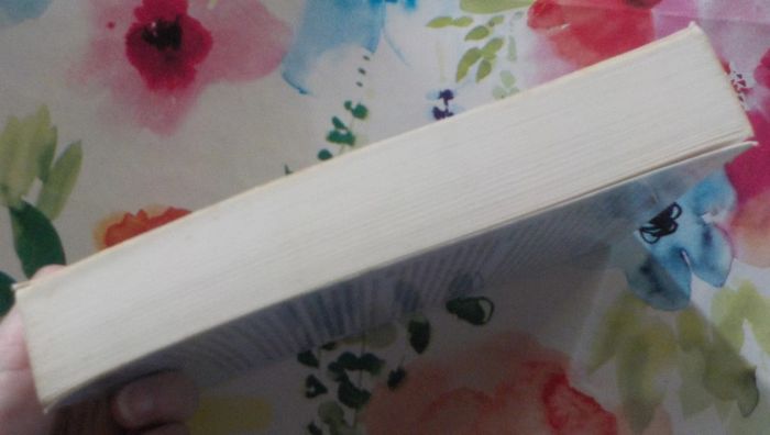 L'Impératrice des adieux de Michel de Grèce Ed. Plon - photo numéro 4