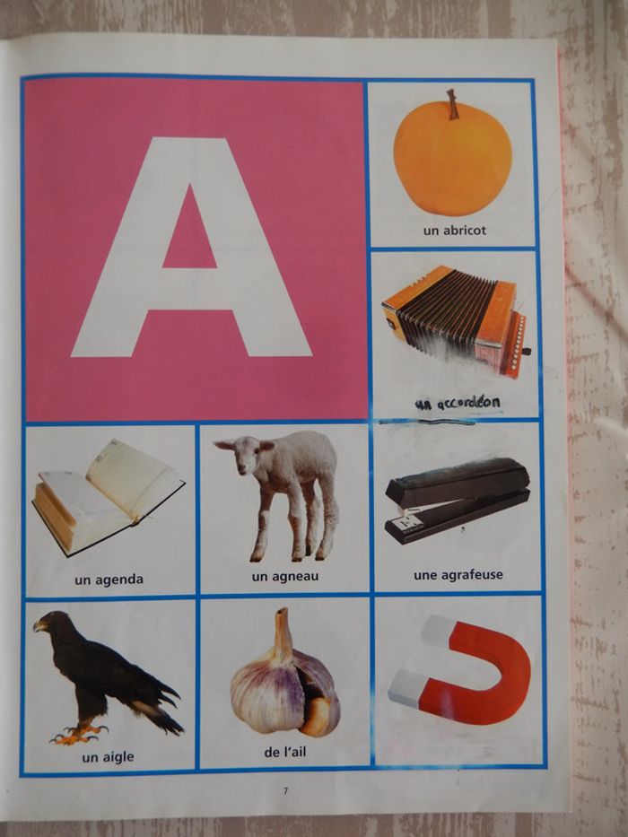 Mon premier Dictionnaire visuel - photo numéro 4