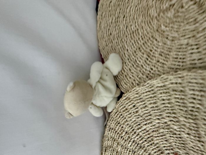 Doudou Ours Tiamo - photo numéro 2