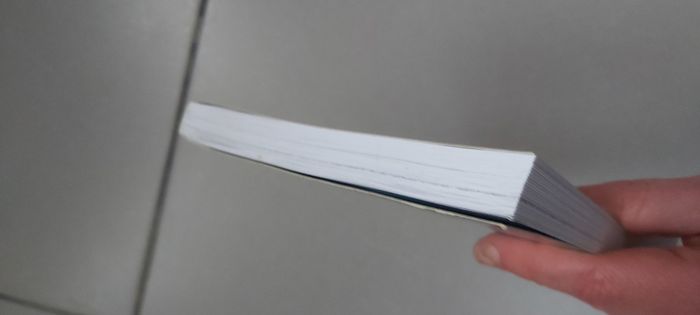 Dragons - photo numéro 5