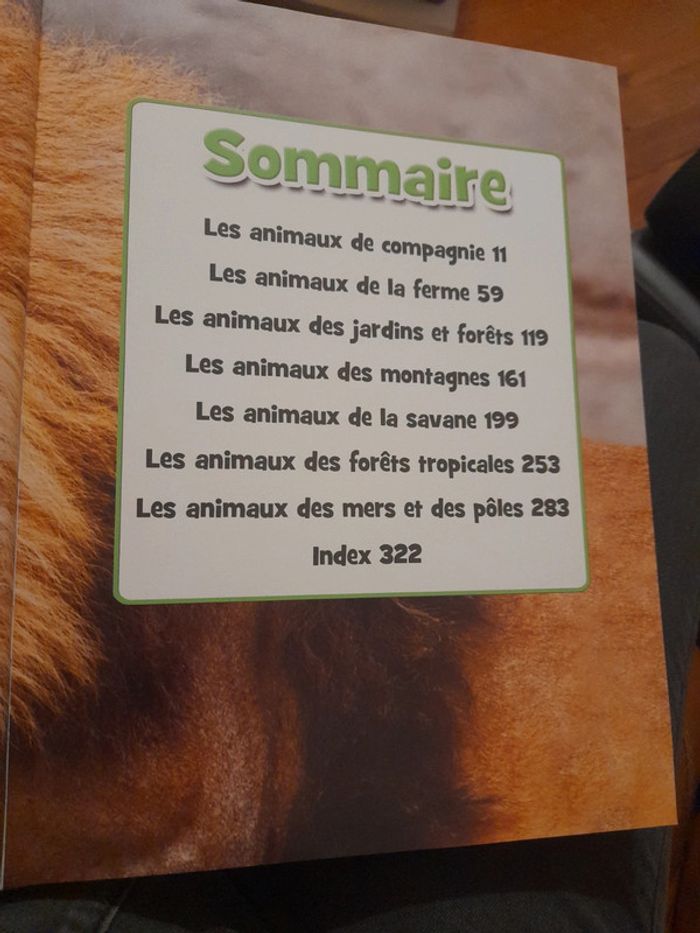 Mes animaux préférés - photo numéro 5