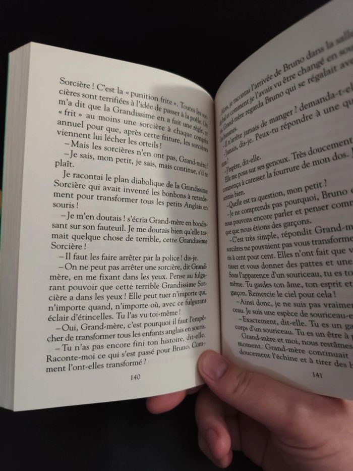 Livre sacrées sorcières de Roald Dahl - photo numéro 4