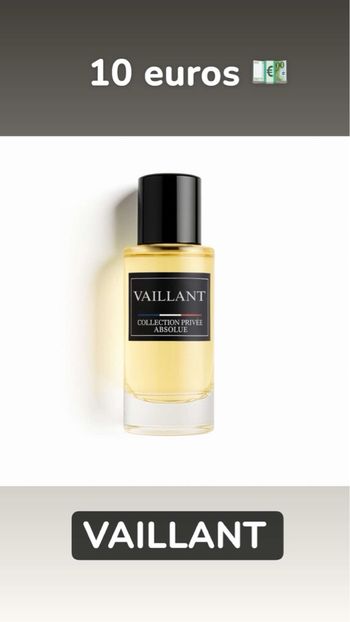 Vaillant