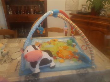 Tapis éveil